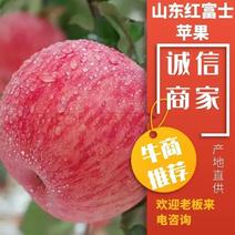 红富士苹果/产地供应/口感脆甜/保质保量/全国代发