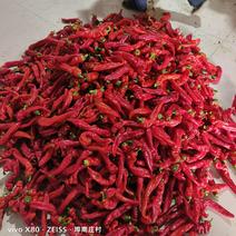 大量红泡椒，红尖椒，美人椒，等一系列红椒产品