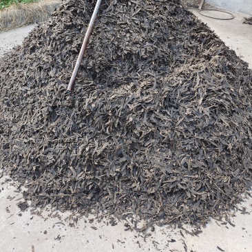 玄参斜片，选装货，符合药典，