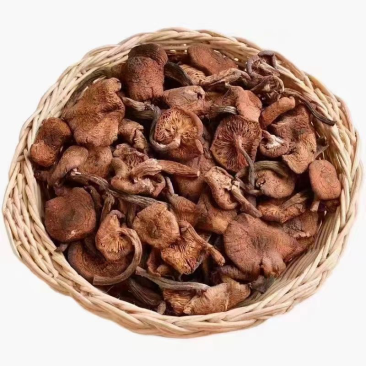 东北名菜小鸡炖蘑菇的榛蘑