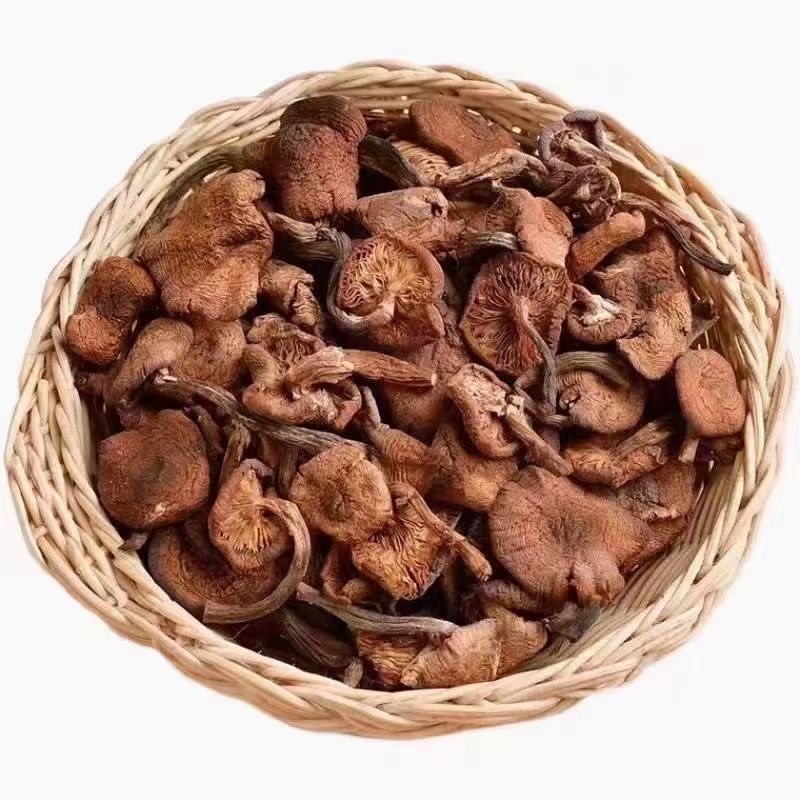 东北名菜小鸡炖蘑菇的榛蘑
