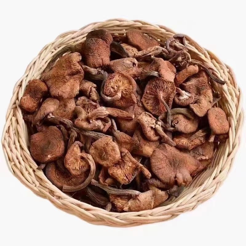 东北名菜小鸡炖蘑菇的榛蘑