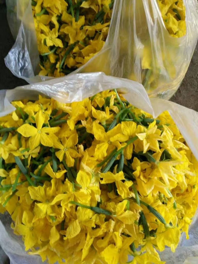 【小黄瓜花】山东省寿光市精品小黄瓜花，全年有货，全国发货