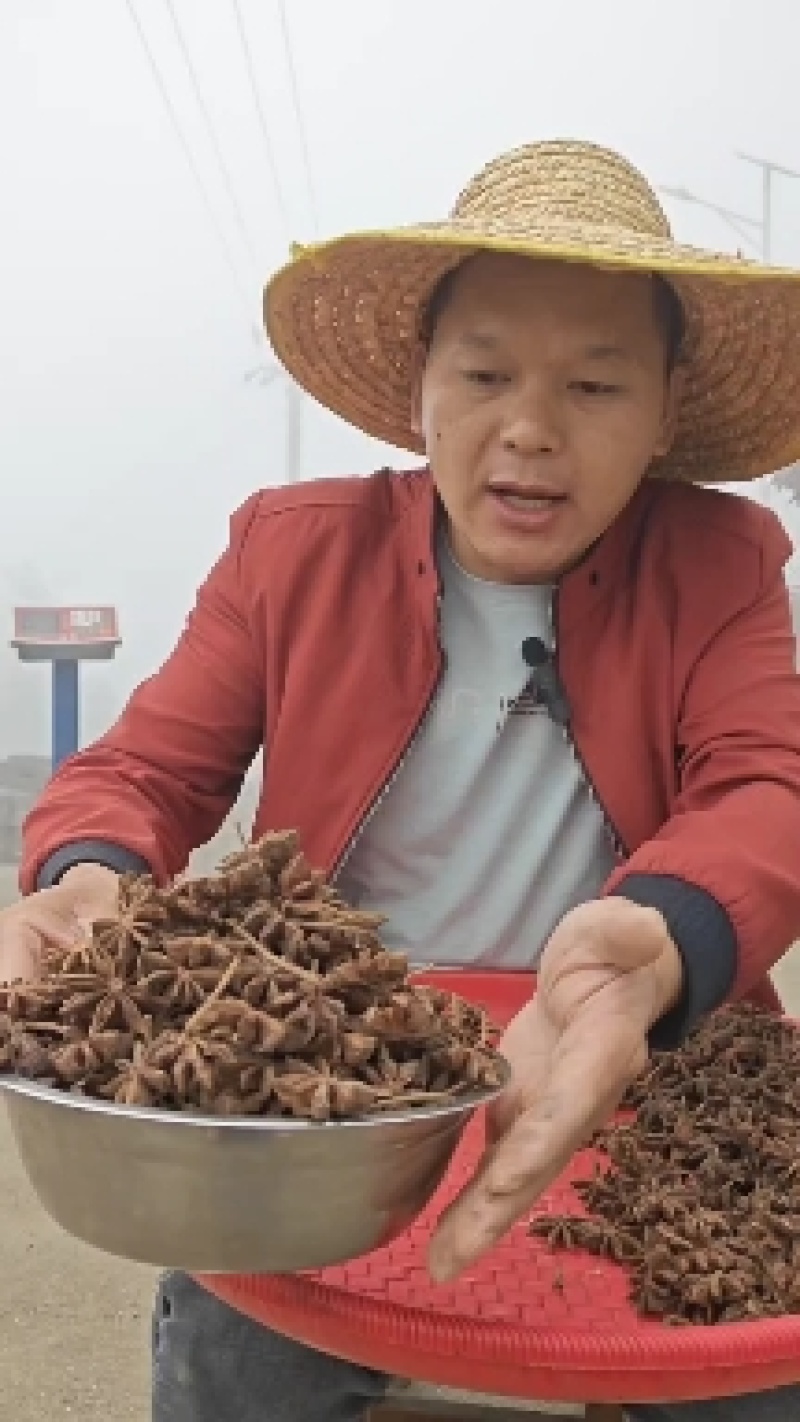 广西老树干八角，自产自销，一手货源，地头价格。