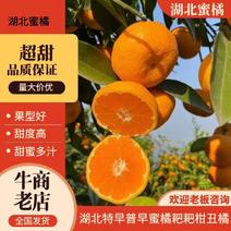 【精选】湖北蜜橘，甜蜜多汁，一手货源，供应市场商超电商