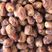 椰枣进口黄椰枣伊拉克椰枣整箱批发一手货源量大优惠