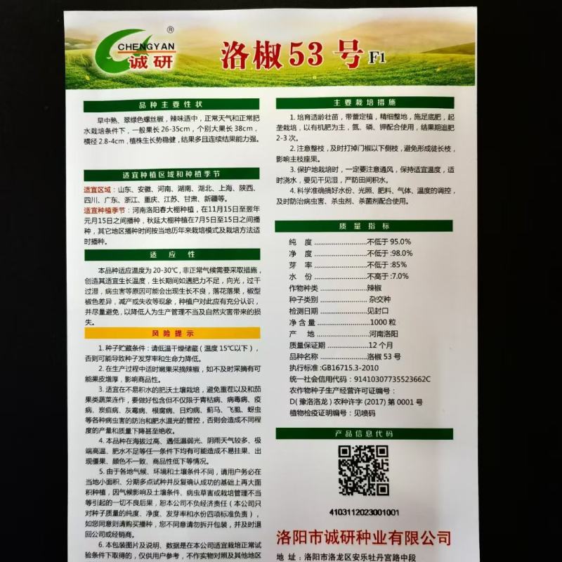 洛椒53号螺丝椒种子大果香辣品种早熟品种
