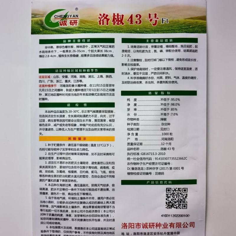 洛椒53号螺丝椒种子大果香辣品种早熟品种
