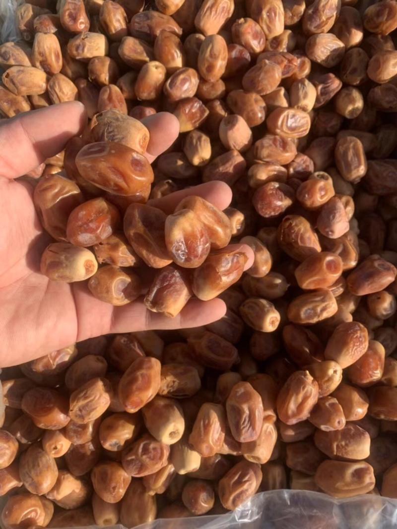 椰枣进口黄椰枣伊拉克椰枣整箱批发一手货源量大优惠