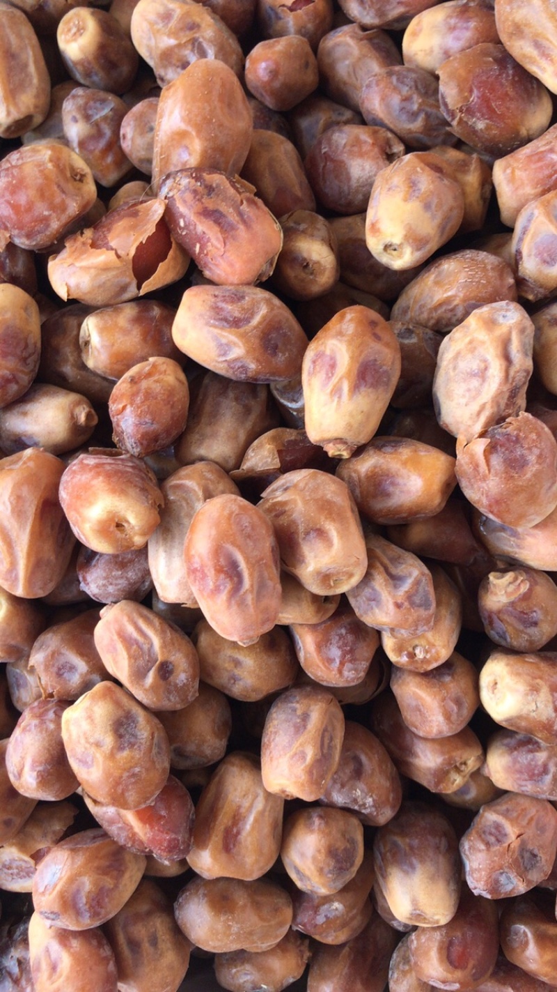 椰枣进口黄椰枣伊拉克椰枣整箱批发一手货源量大优惠