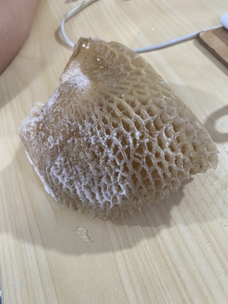 牛肚金钱肚8成熟金钱肚无碱发可卤可煮
