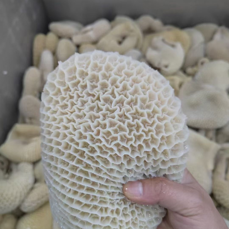 牛肚金钱肚8成熟金钱肚无碱发可卤可煮