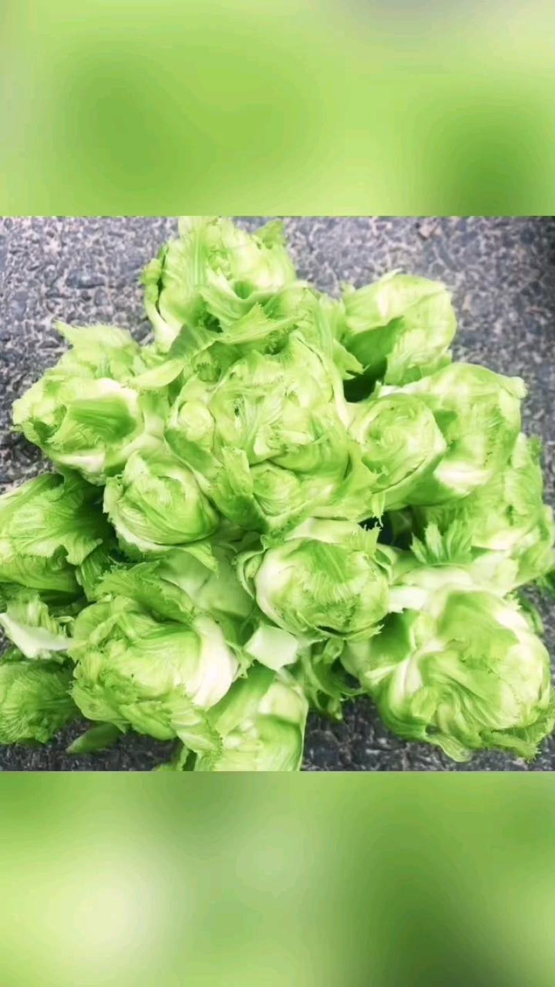 四川广汉大心、小心儿菜，无开花，抽苔，红头，空心。