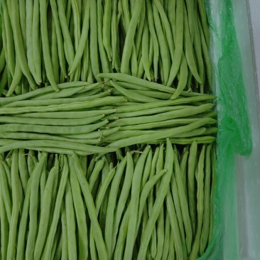 专业电商货到精品无筋豆偏豆小金豆白豆大量上市需要的老板随