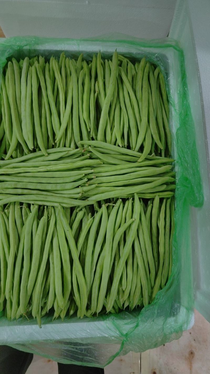 专业电商货到精品无筋豆偏豆小金豆白豆大量上市需要的老板随