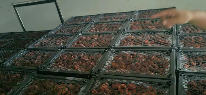 专业供应大量柿饼供应各大电商平台多多买菜各种规格齐全