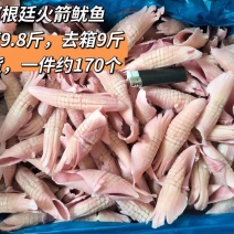 鱿鱼商用火箭鱿鱼鱿鱼须火锅冒菜串串烧烤铁板烧食材水发