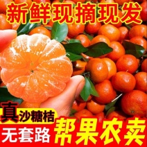 【正宗砂糖橘】广西砂糖橘薄皮应季新鲜孕妇水果桔子整箱沙糖