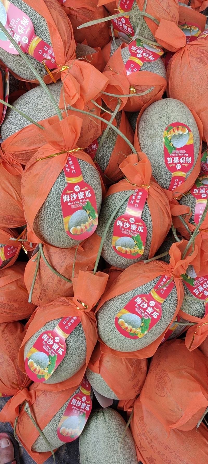 海南乐东小蜜25号，大量对接档口和平台，量大从优。