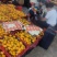 广西桂林兴安（棉桔），蜜广，臭皮柑（产地直发）