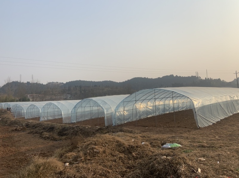 新钢管大棚土地出租