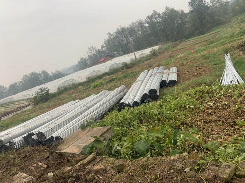 新钢管大棚土地出租