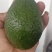 哈斯牛油果