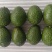 哈斯牛油果