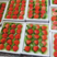 草莓江苏徐州宁玉草莓基地代收代发代加工一手货源品种齐