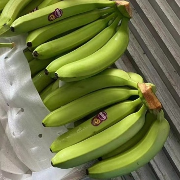 一级进口半片焦青焦二黄焦大量现货发货，适合精品超市团购电