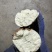 淀粉红薯商薯19徐薯18白心红薯加工厂红薯稳定供给请电联