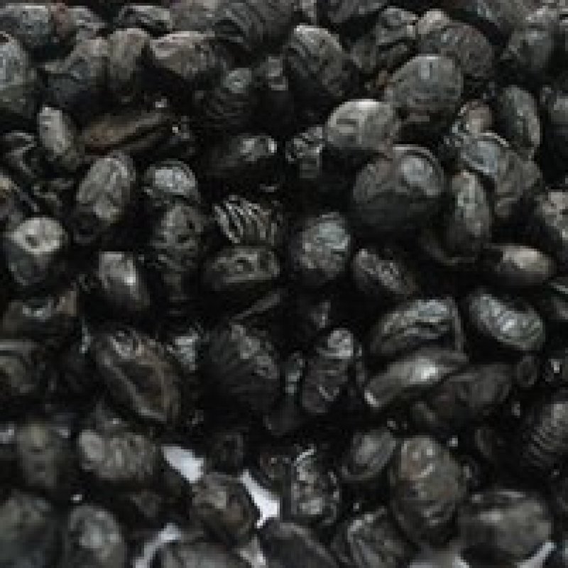 淡豆豉豆豉干豆鼓黑豆豉