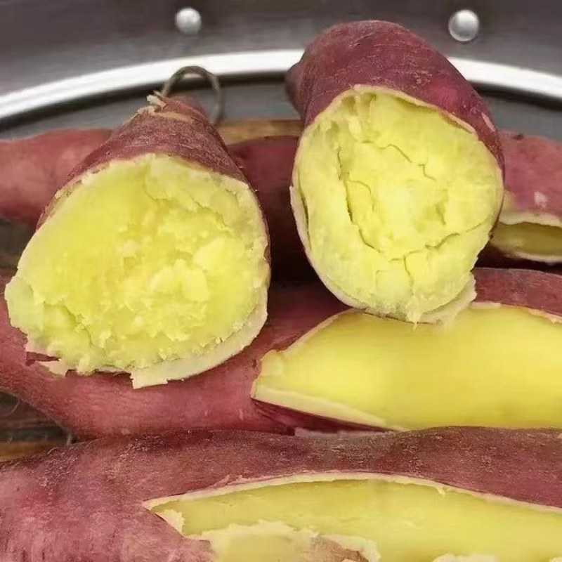 千亩秦薯五号红薯基地大量上市，货源充足，支持全国代发。