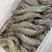 【包邮】青岛直发大虾对虾，鲜活海鲜24小时内发货