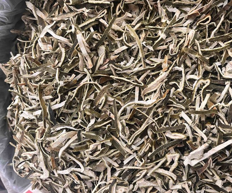 青皮丝青皮一公斤起发青皮