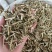 青皮丝青皮一公斤起发青皮