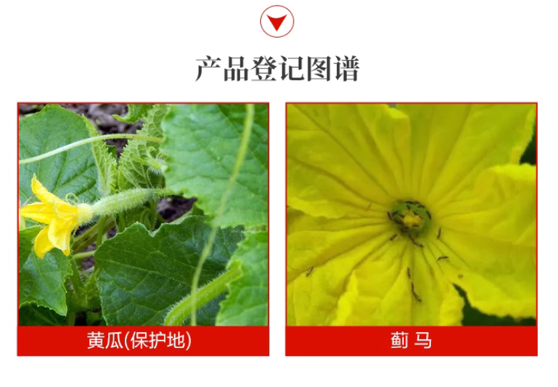 UPL速唯净多杀霉素杀虫环辣椒黄瓜蓟马杀虫剂