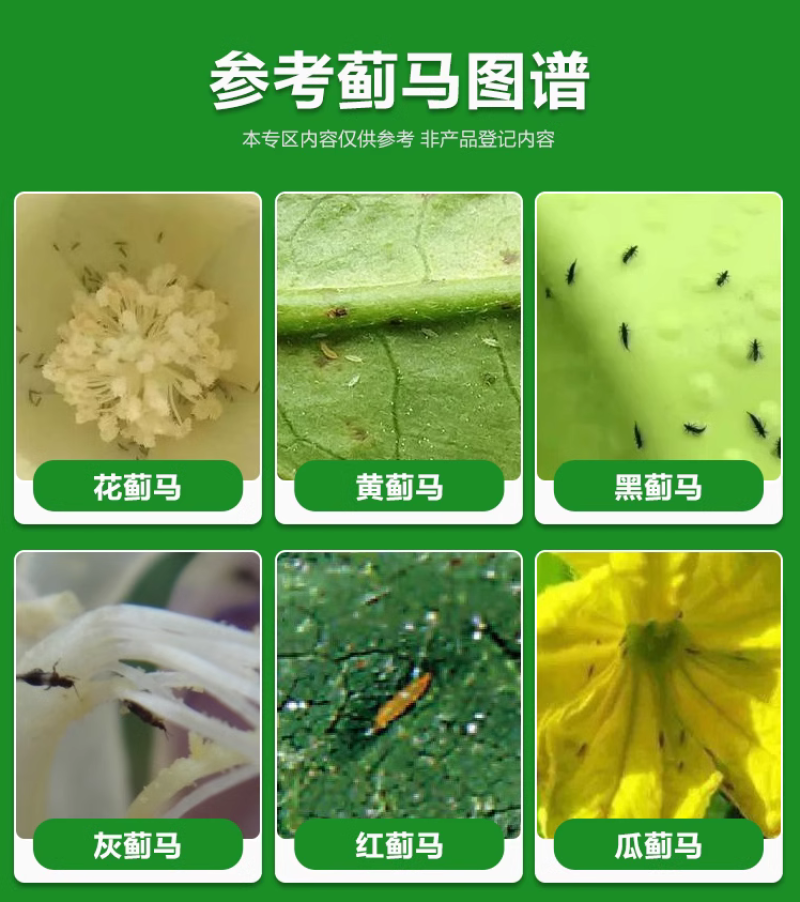 UPL速唯净多杀霉素杀虫环辣椒黄瓜蓟马杀虫剂