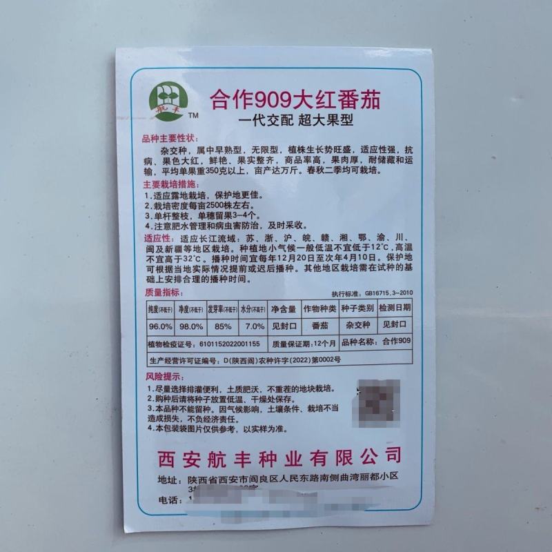 合作909大红番茄超大果型中早熟抗病果肉厚大红色春秋播