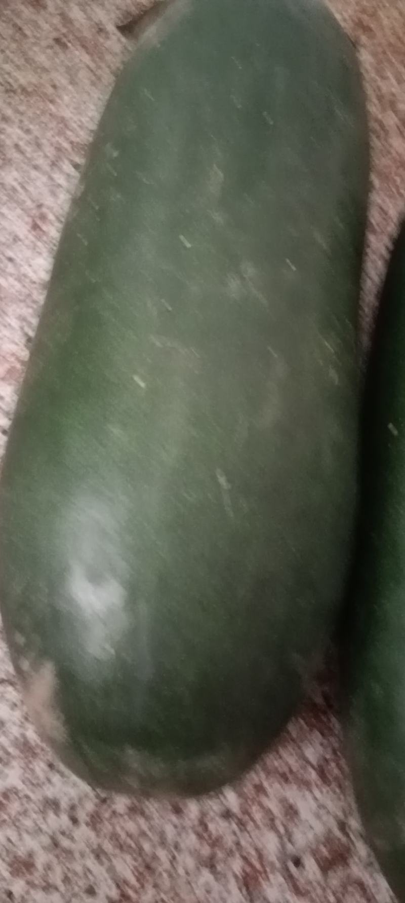 冬瓜