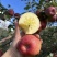 阿克苏糖心苹果🍎坏果包赔质量保证可视频看货