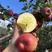 阿克苏糖心苹果🍎坏果包赔质量保证可视频看货