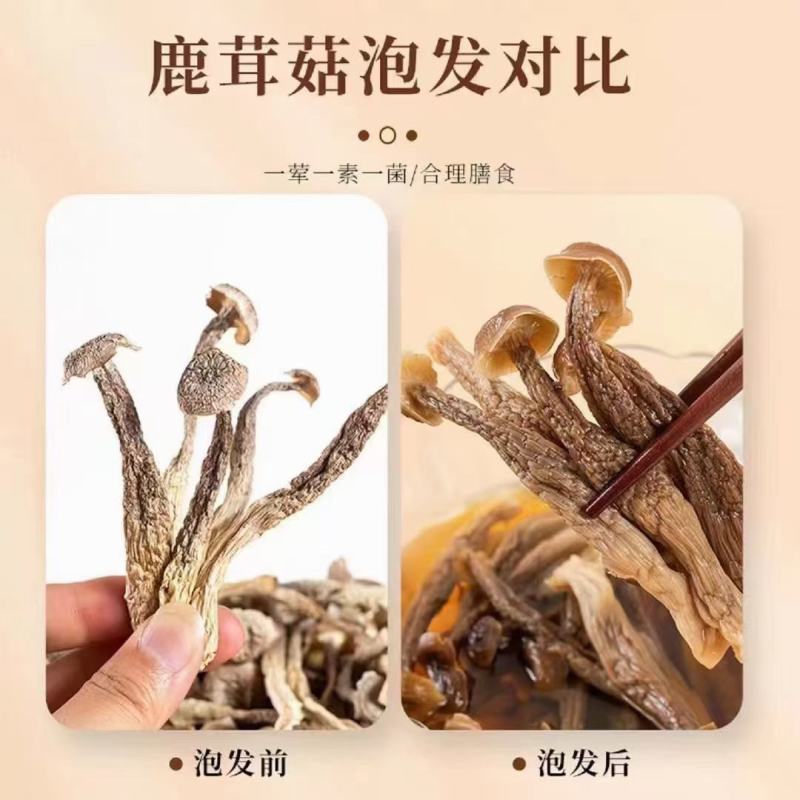 A级鹿茸菇干鹿茸菇鹿茸菇嫩仔D级鹿茸菇无碎片价格美丽