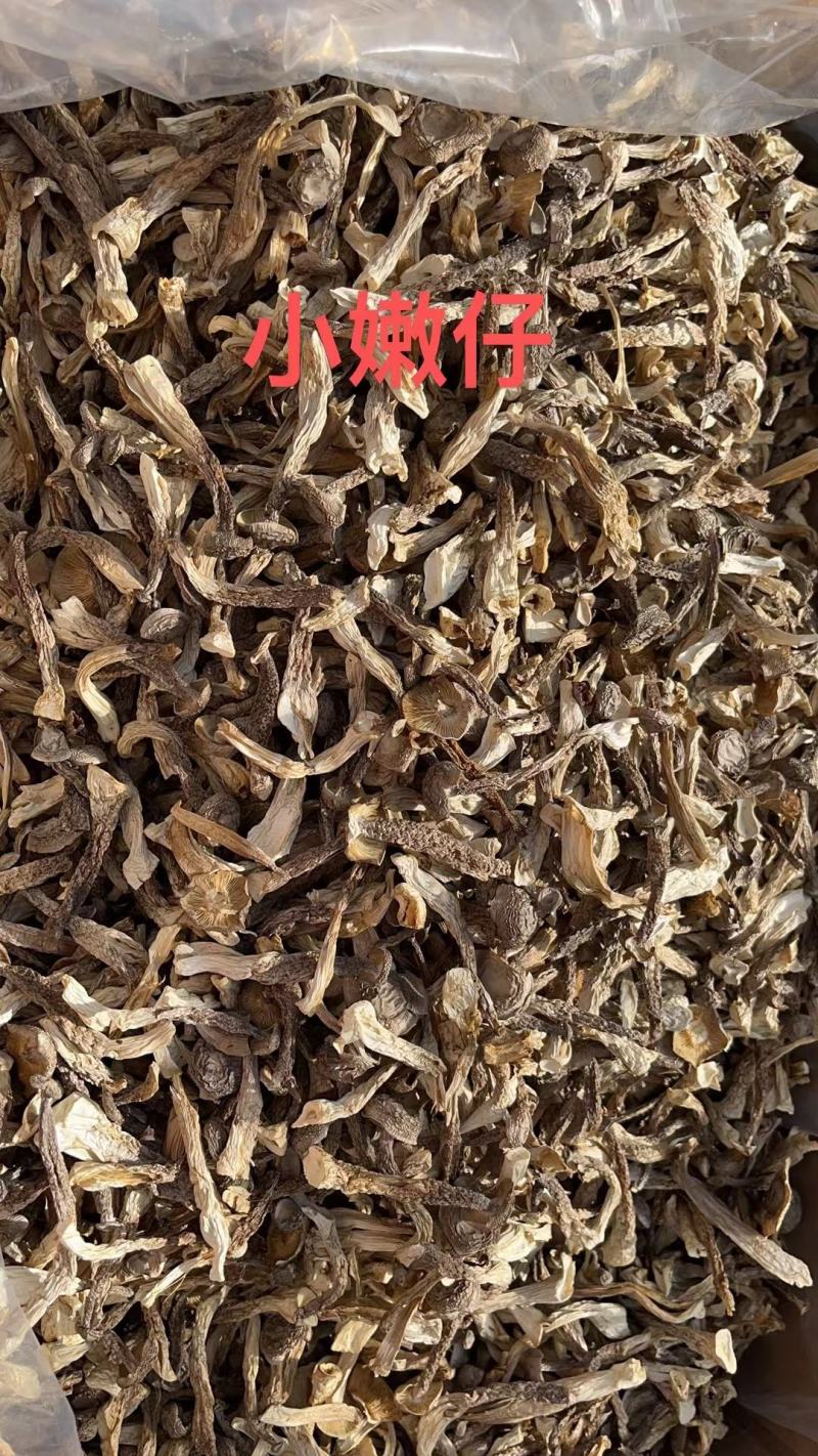 A级鹿茸菇干鹿茸菇鹿茸菇嫩仔D级鹿茸菇无碎片价格美丽