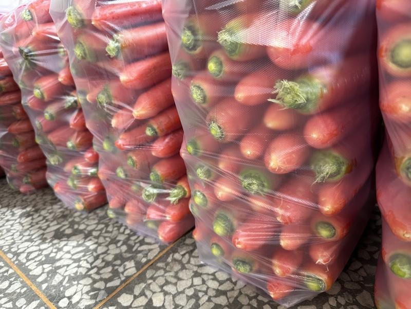 次品红萝卜胡萝卜青萝卜全面供应养殖场加工现货新鲜