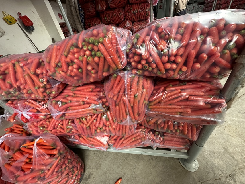 胡萝卜在超市货架上整齐摆放