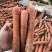 新苗红萝卜胡萝卜供应养殖场加工厂食堂学校规格齐全直发