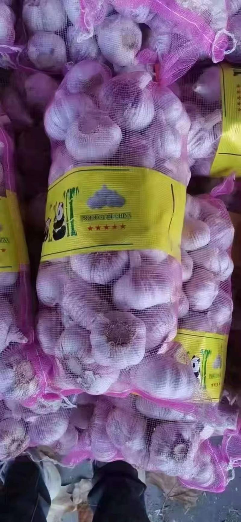 金乡大蒜山东济宁大蒜紫皮蒜蒜头把子蒜产地供货全年不断