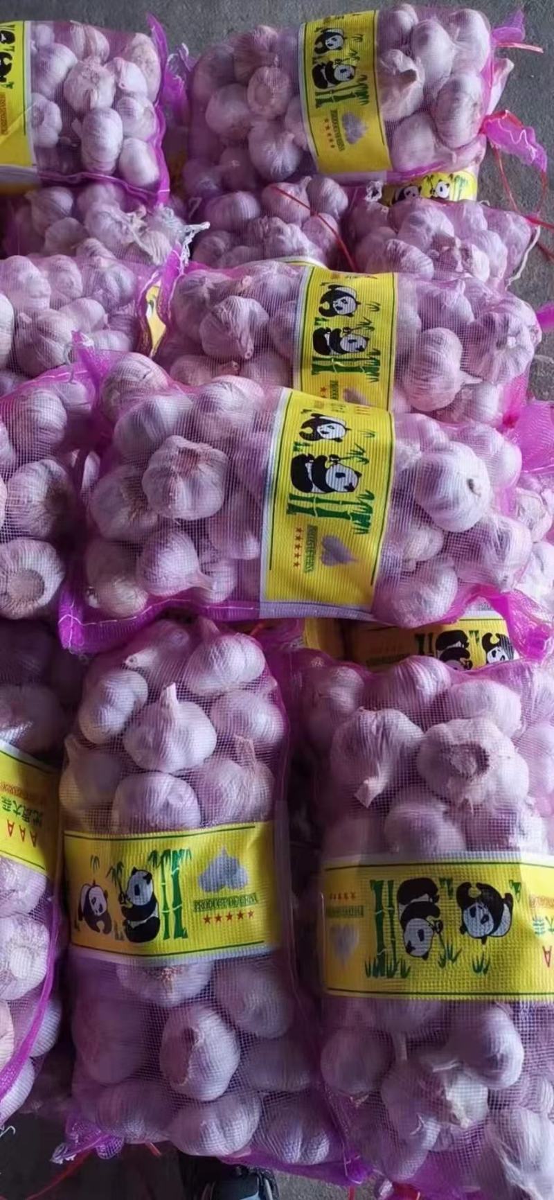 金乡大蒜济宁紫皮大蒜蒜头把子蒜承接进出口批发加工餐饮