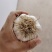 金乡大蒜济宁紫皮大蒜蒜头把子蒜承接进出口批发加工餐饮